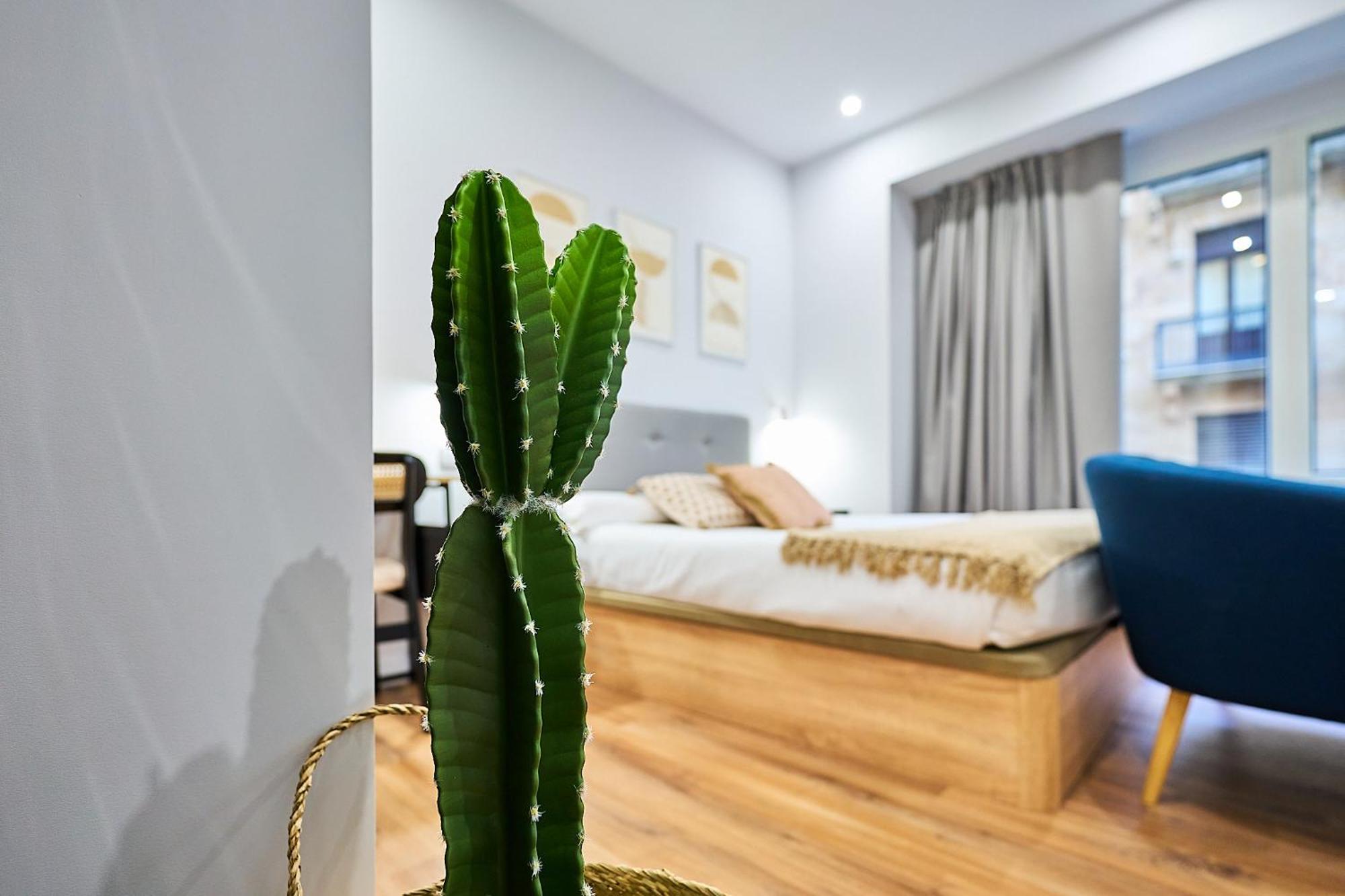 Apartamentos Esperanza By Gaiarooms Salamanca Luaran gambar